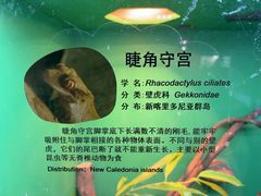 -上海大自然野生昆虫馆(东方明珠·爬宠昆虫探索中心)