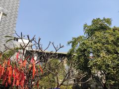 -小洲村