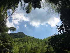 -山沟沟景区