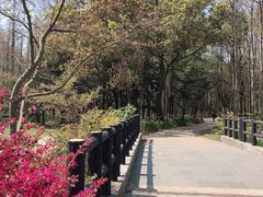 -共青国家森林公园-售票处