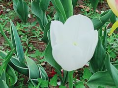 -长春公园(普阳街道)