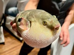 -永安鱼庄·镇江菜(东吴路店)