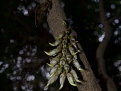 -清溪大王山森林公园