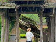 -杨家堂村