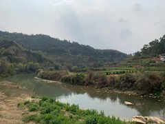 -福建土楼（华安）旅游区•大地土楼群