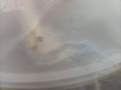 -蛙麻蛙辣炭火蛙锅(南环大街店)