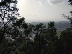-重庆歌乐山烈士陵园
