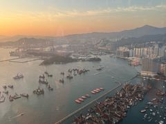-天龙轩(香港丽思卡尔顿酒店)