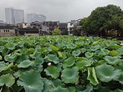 -乾州古城