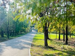 -梁鸿国家湿地公园