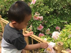 -迎泽公园
