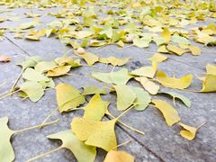 -天幕新彩云国际影城(激光巨幕店)