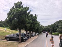 -小麦岛公园