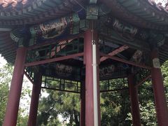 -黄村公园