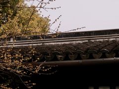 -西园戒幢律寺