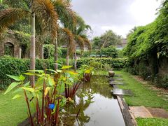 -中国科学院西双版纳热带植物园