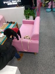 -斐尔国际皮肤管理中心