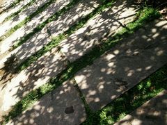 -秀丽东方