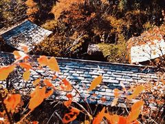 -周口店坡峰岭风景区