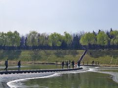 -洨河生态公园