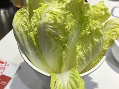 -陈记顺和潮汕鲜牛肉火锅(棠德南路店)