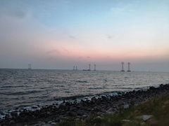 -宝安西湾红树林湿地公园