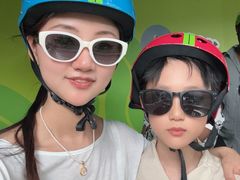 -圣淘沙天际线斜坡滑车