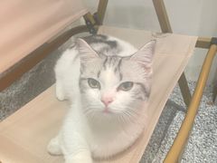 -seeu coffee(江滩店)