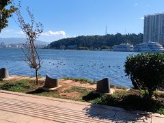 -洱海月湿地公园