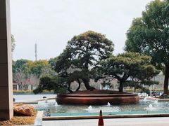 -上海宝华万豪酒店