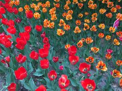 -长春公园(普阳街道)