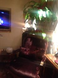 iphone_upload_pic-TIME SPA科技美肤机构