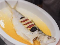 花雕蒸鲥鱼-新光酒家·河豚·海鲜·蟹料理(浦东店)
