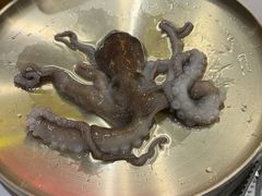 -黄金牧场(明洞总店)