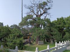 -司徒庙