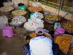 -双喜农庄·菌香园(安居家园店)