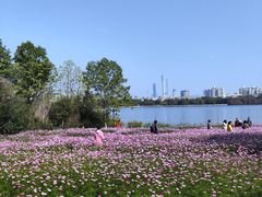 -海珠湖公园