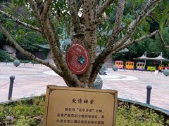 -杭州少年儿童公园