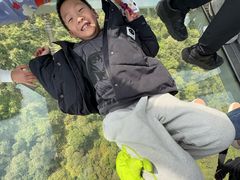 -昂坪360缆车