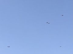 -上海市龙华烈士陵园