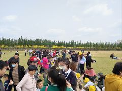-甜心庄园·甜心草莓采摘园(西青中北店)