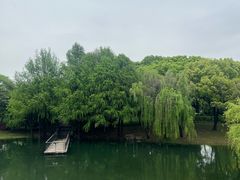 -尚贤河湿地