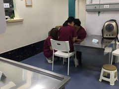 -美联众合爱康动物医院•复杂内科•肿瘤科•牙科•腔镜诊疗中心