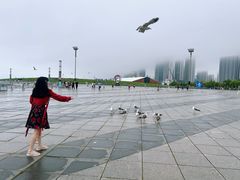 -东港音乐喷泉广场