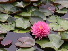 -国家植物园南园