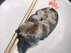 -肥鱼屯活鱼锅(惠工街店)