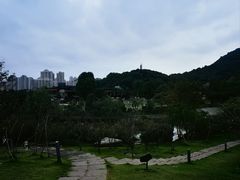 -桃花岭景区