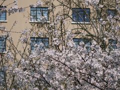 -徐家汇源景区-衡山公园