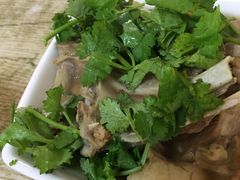 -老马家蒸饺(南海街店)