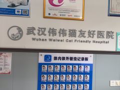 -伟伟宠物医院·瑞派猫友好医院·猫科(光谷店)